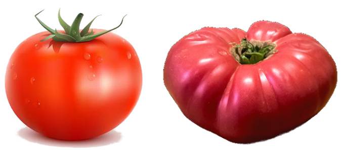 supermarket and pink tomato